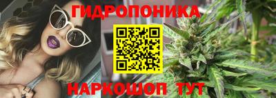 МДПВ Ипатово