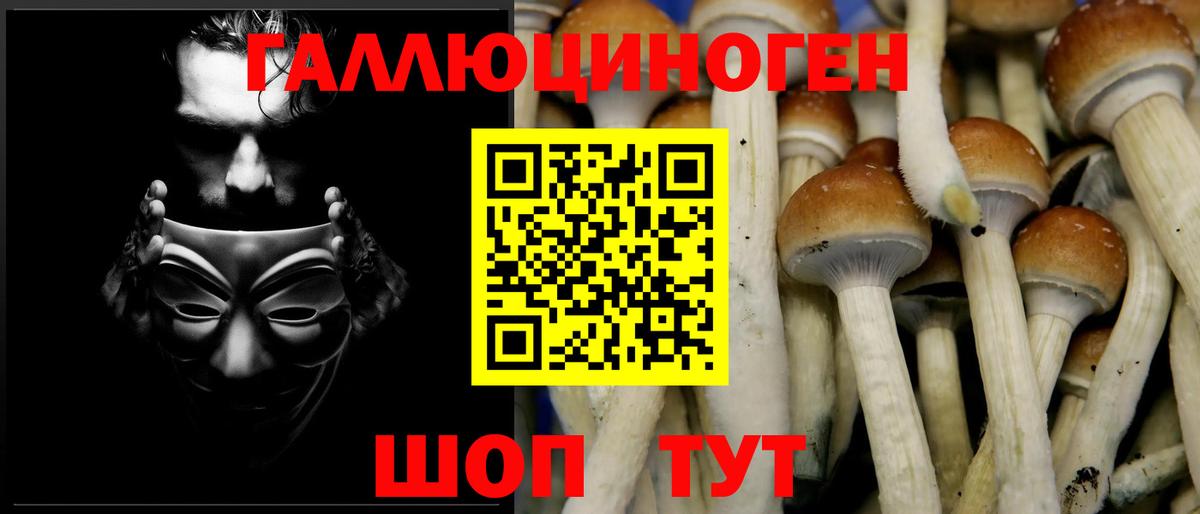 Псилоцибиновые грибы Magic Shrooms  Вход с VPN  Менделеевск 
