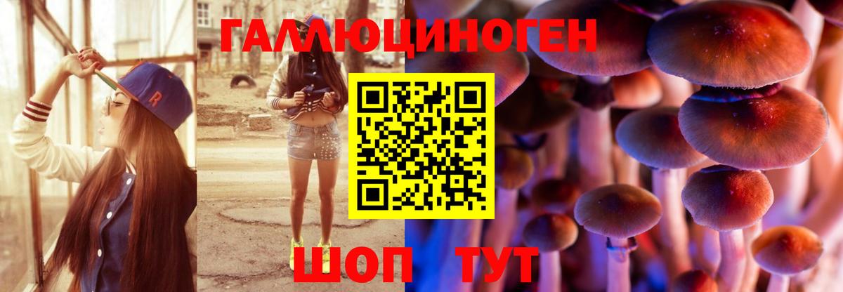 Псилоцибиновые грибы Cubensis Менделеевск